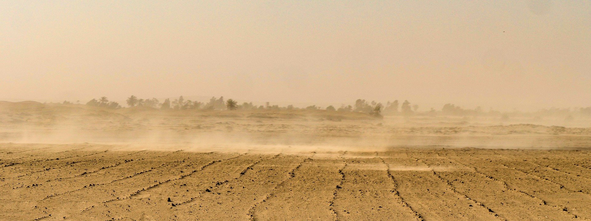 Wüstenluft zu Wasser – Technologie macht es möglich