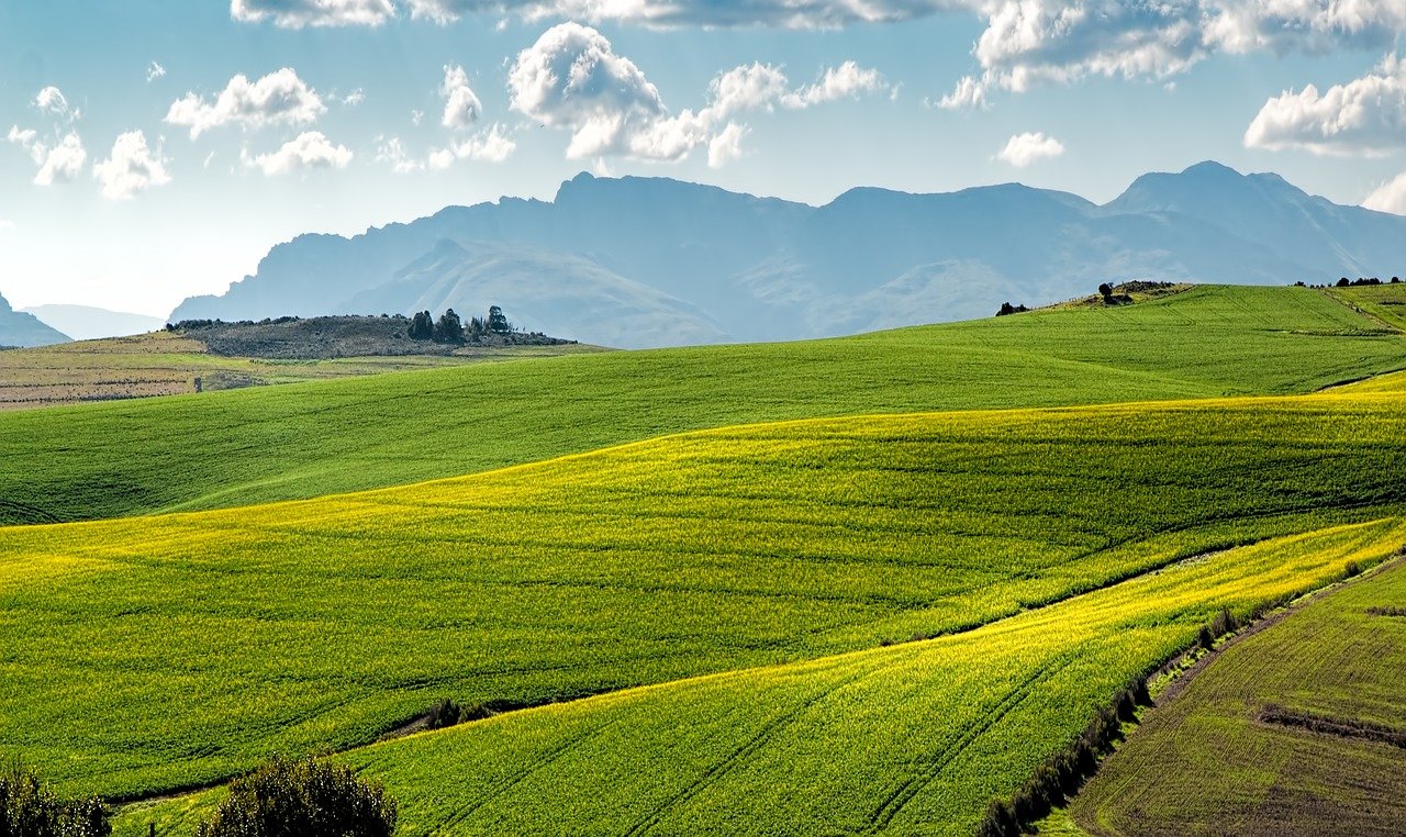 European Green Deal: Die Landwirtschaft in der Reform